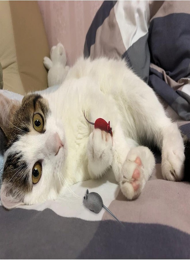 Pups&Pets مجموعة ألعاب قطط من Pups&Pets، 4 قطع، على شكل فأر، لعبة قطط ناعمة تصدر صوتاً، 4 ألوان عشوائية، ألعاب قطط صغيرة ناعمة للقطط المنزلية، لعبة تفاعلية للقطط والقطط الصغيرة للإمساك بها وعضها - Image 5